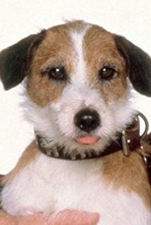Moose plays Eddie on Frasier
