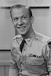 Allan Melvin plays 8 episodes, 1969-1974
                         on The Brady Bunch