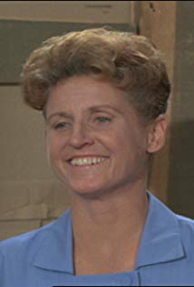 Ann B. Davis plays Alice Nelson on The Brady Bunch