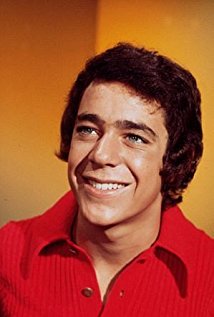 Barry Williams plays Greg Brady on The Brady Bunch